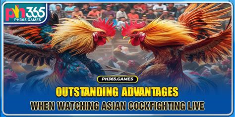 asiancockfightinglive|Asian Cockfighting – Telegram.
